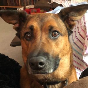 Meet your Posher, Andi